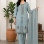 Powder Blue Embroidered Straight Kurta Set with Organza Dupatta
